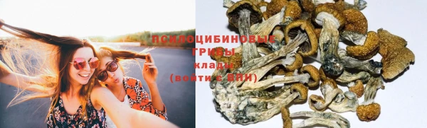 меф Горнозаводск