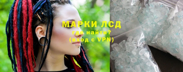 индика Гусиноозёрск
