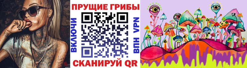 Купить где  Барабинск  Галлюциногенные грибы Magic Shrooms 